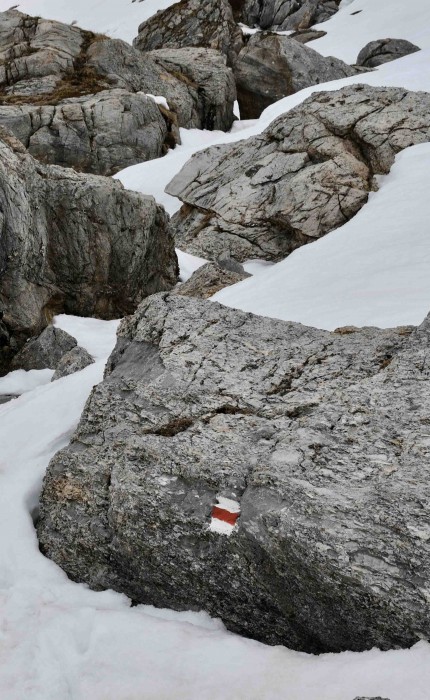 Aufnahme von Felsen die aus dem Schnee schauen