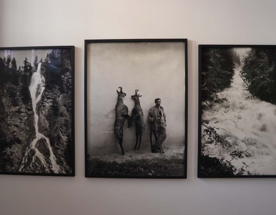 Johann Feuerstein photography.